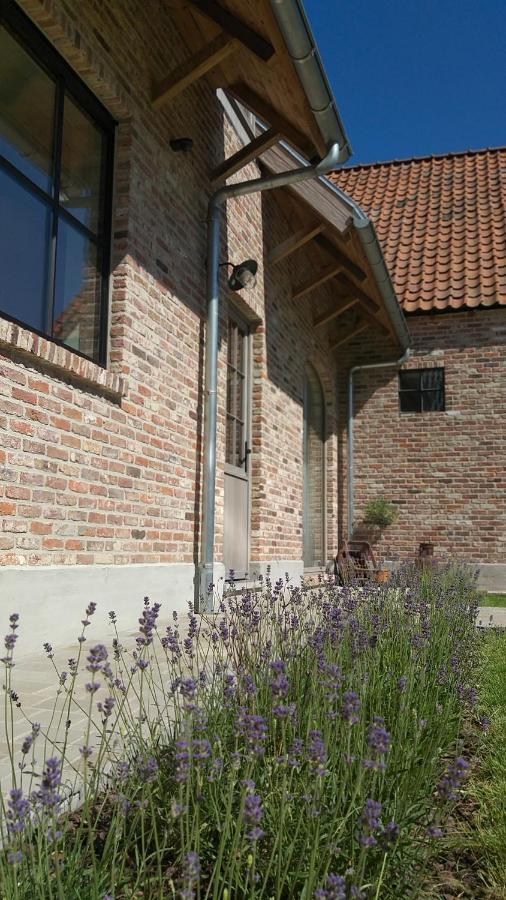 Muntershof Villa Velzeke-Ruddershove Bagian luar foto