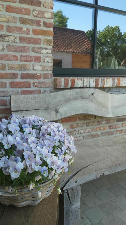 Muntershof Villa Velzeke-Ruddershove Bagian luar foto