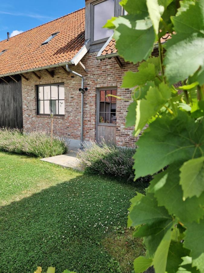 Muntershof Villa Velzeke-Ruddershove Bagian luar foto