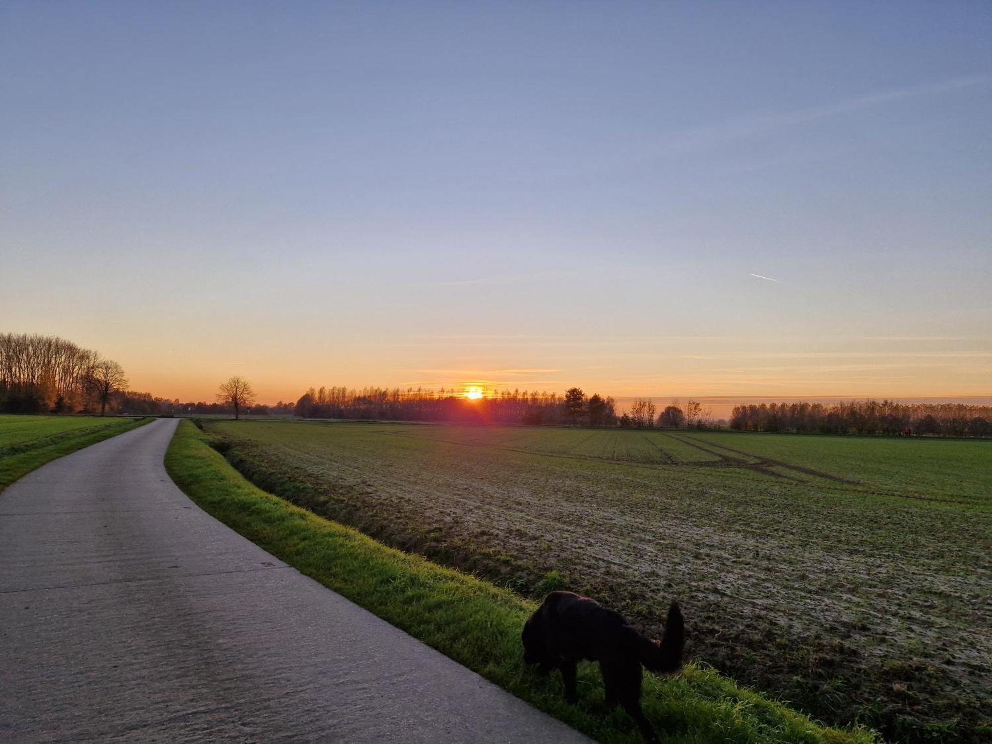 Muntershof Villa Velzeke-Ruddershove Bagian luar foto